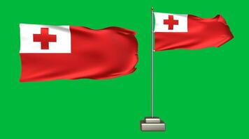 Tonga national flag waving in the wind on a green background. 3d Animation of a flag flying with a pole video