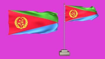 eritrea flagga vinka i de vind på en rosa bakgrund. 3d animering av en flagga flygande med en Pol video