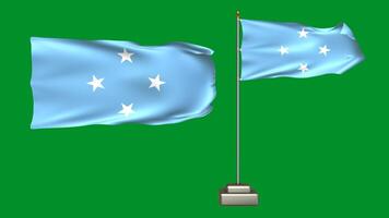 Federated States of Micronesia flag waving in the wind on a green background. 3d Animation of a flag flying with a pole video