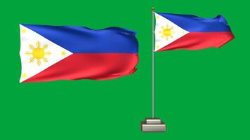 Philippines flag waving in the wind on a green background. 3d Animation of a flag flying with a pole video