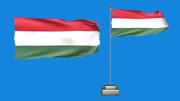 Hungary flag waving in the wind on a blue background. 3d Animation of a flag flying with a pole video