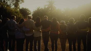 Back view of happy multigenerational people having fun in a public park during sunset time video