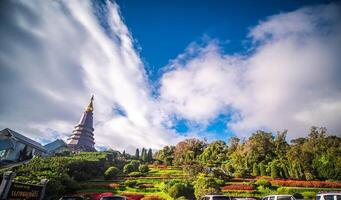 Golden Buddhist temple in Thailand with ancient pagoda and towering architecture against a clear sky, Chaingmai, Thailand. photo