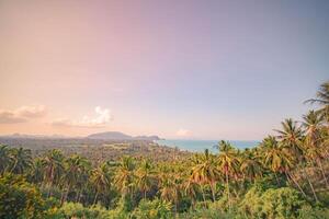 Tropical Paradise - Palm trees sway beneath a sky of fluffy clouds, creating an idyllic island scene. photo