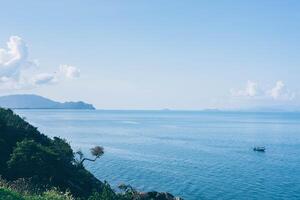 Tropical Paradise - Palm trees sway beneath a sky of fluffy clouds, creating an idyllic island scene. photo