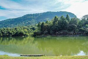 Serene Mountain Lake Reflection in Summer Landscape. photo