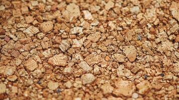 Close-Up of Natural Cork Texture, Ideal for Design or Background Use in Prints and Posters photo