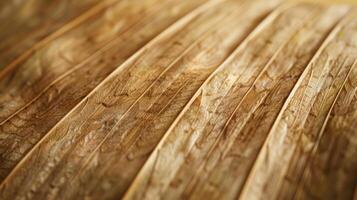 Texture of Dried Palm Leaf in Close-up, Nature Concept for Design and Backgrounds photo