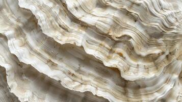 Rough Oyster Shell Texture Closeup Showing Layered Patterns and Organic Details for Nature-Themed Designs photo