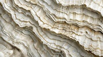 Macro Shot of Rough Oyster Shell Texture, Detailed Close-Up of Layered Organic Patterns, Perfect for Print Design and Nature Study photo