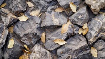 Pile of Rocks Covered With Leaves. AI-generated photo