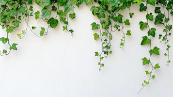 White Wall Covered in Green Leaves. AI-generated photo