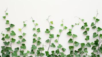 Plant With Green Leaves on White Wall. AI-generated photo