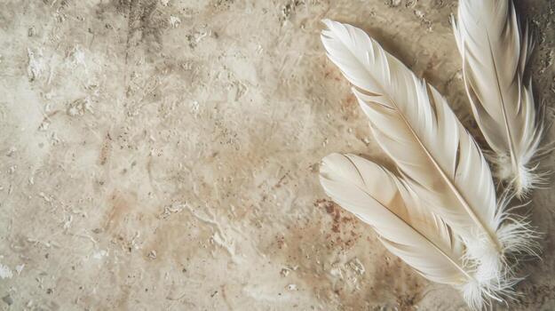 Feather Resting on Stone Surface. AI-generated photo