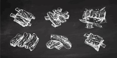 Hand-drawn monochrome sketch set of barbecue ribs. Doodle vintage illustration. Decorations for the menu of cafes and labels. Engraved image on chalkboard background. vector
