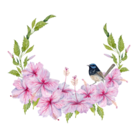 Pink Hibiscus Flowers with green leaves and a bird wreath. Hand drawn watercolor illustration isolated on transparent background. Copy space design with cute fairy wren on vintage botanical branch png