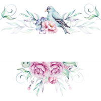 Watercolor frame - springtime blue victorian beard and pink roses, flower, brunch and leaves. Springtime botanic. Romantic peony. Isolated. For greeting cards, wedding, fabric, printing png