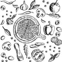 pizza on the board in the center and all its ingredients products around. illustration Stroke black-white vegetables spices mushrooms for fast food. vector