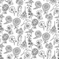 pattern with doodle colors in black. Individual branches of flowers. Linear illustration of nature. Contour elements. Perfect for adding tenderness and beauty to your design. Seamless texture vector