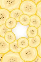Pieces of banana slice snack. Topical resh banana slice cut fruit. National Banana Day vector