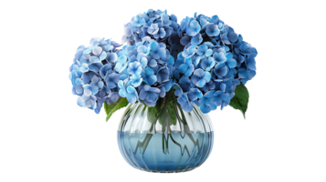hydrangeas flowers in a glass vase on a transparent background png