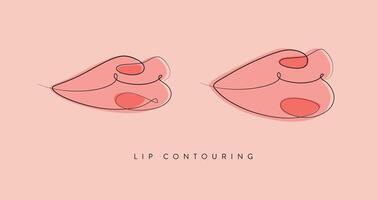 Pair of lips with contouring drawing in linear style on peach background vector