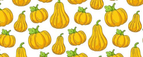 Pumpkin and butternut squash, vegetables seamless pattern, isolated white background. Veggies colorful icons set, horizontal banner. For cover, wrapping paper, textile print vector