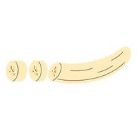 Cutted peeled banana. Banana without peel sliced in hand drawn doodle style vector