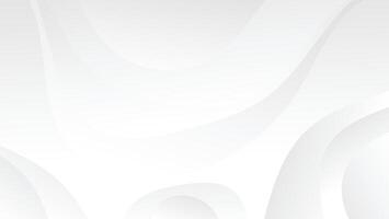 abstract white background with curve shape vector