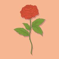 Illustration of a rose on a peach background, to symbolize love vector