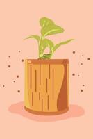 Illustration of a plant starting to grow leaf buds with an orange pot on a pink background vector