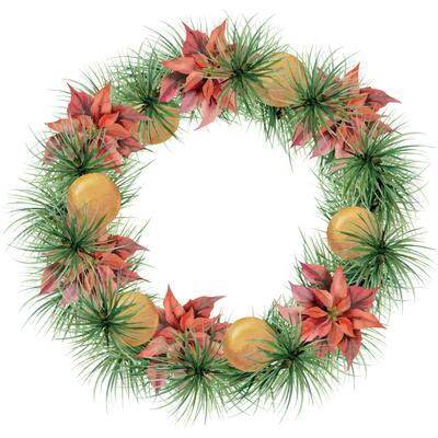 Pine tree, fir tree, spruce, poinsettia, gold ball baubles. Watercolor hand drawn illustration, wreath frame isolated on white. Xmas, happy new year festive, noel navidad. Cards, gifts, florist shop.