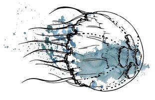 Watercolor and ink hand drawn marine life, sea ocean underwater creatures. fish, shells algae seaweed. Single object illustration, stylized, isolated on white. Zoo shop, aquarium, cosmetics, resort vector