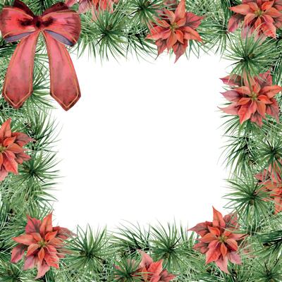 Pine tree, fir tree, spruce, poinsettia, red ribbon bow. Watercolor hand drawn illustration, border frame isolated on white. Xmas, happy new year festive, noel navidad. Cards, gifts, florist shop.