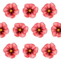 Hand painted watercolour poppy flower abstract pattern background vector