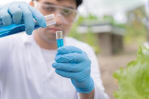 Organic farming, salad farm. Science farmers are checking water conditions during planting, checking for pesticide residues. Hydroponics vegetable, Ecological Biological, Healthy, Vegetarian, ecology photo