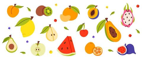 Set of different fruits and berries vector