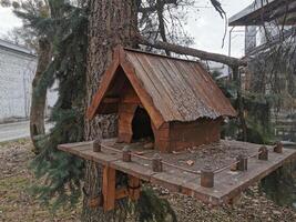 house in the forest for animals and birds. Wooden bird house in the summer park. on an tree stump. Old wooden feeder for birds on a tree, empty bird's feeder caring about wild birds in cold season. photo