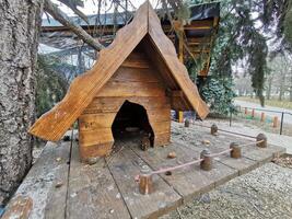 house in the forest for animals and birds. Wooden bird house in the summer park. on an tree stump. Old wooden feeder for birds on a tree, empty bird's feeder caring about wild birds in cold season. photo