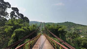 A serene suspension bridge surrounded by lush green forests, perfect for summer hiking and nature exploration, reminiscent of Earth Day and summer vacations video