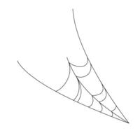 spider web background for hallowen design. spider web line art vector