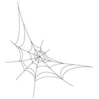 spider web background for hallowen design. spider web line art vector