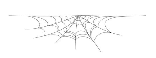 spider web background for hallowen design. spider web line art vector
