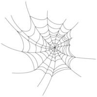 spider web background for hallowen design. spider web line art vector