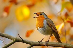 Small bird sitting on a branch with its mouth open, Chaffinch Habitat Shot. Generated AI photo