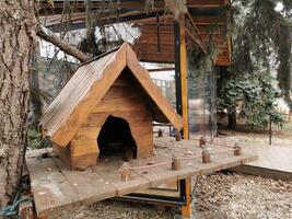 house in the forest for animals and birds. Wooden bird house in the summer park. on an tree stump. Old wooden feeder for birds on a tree, empty bird's feeder caring about wild birds in cold season. photo