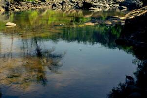 beautiful and cooling river with trees and rocks photo