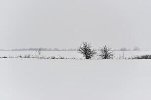 Winer scenery. Empty open field of snow photo