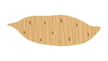 Sweet potato with texture. Stylized abstract vegetable. Isolated illustration for your design. vector