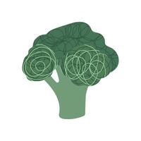 Broccoli with doodles. Stylized abstract vegetable. Isolated illustration for your design vector